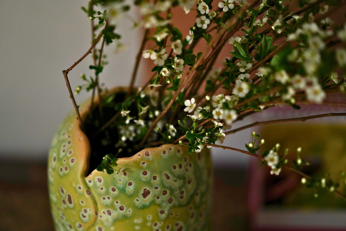 Bloomed white wintersweet branches arranged in a handcrafted Glazara Sage Dust vase, symbolizing nature's awakening for a refreshing spring equinox renewal ritual.