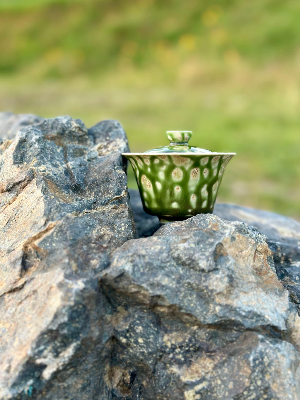 Energy Gaiwan - Olive Grove