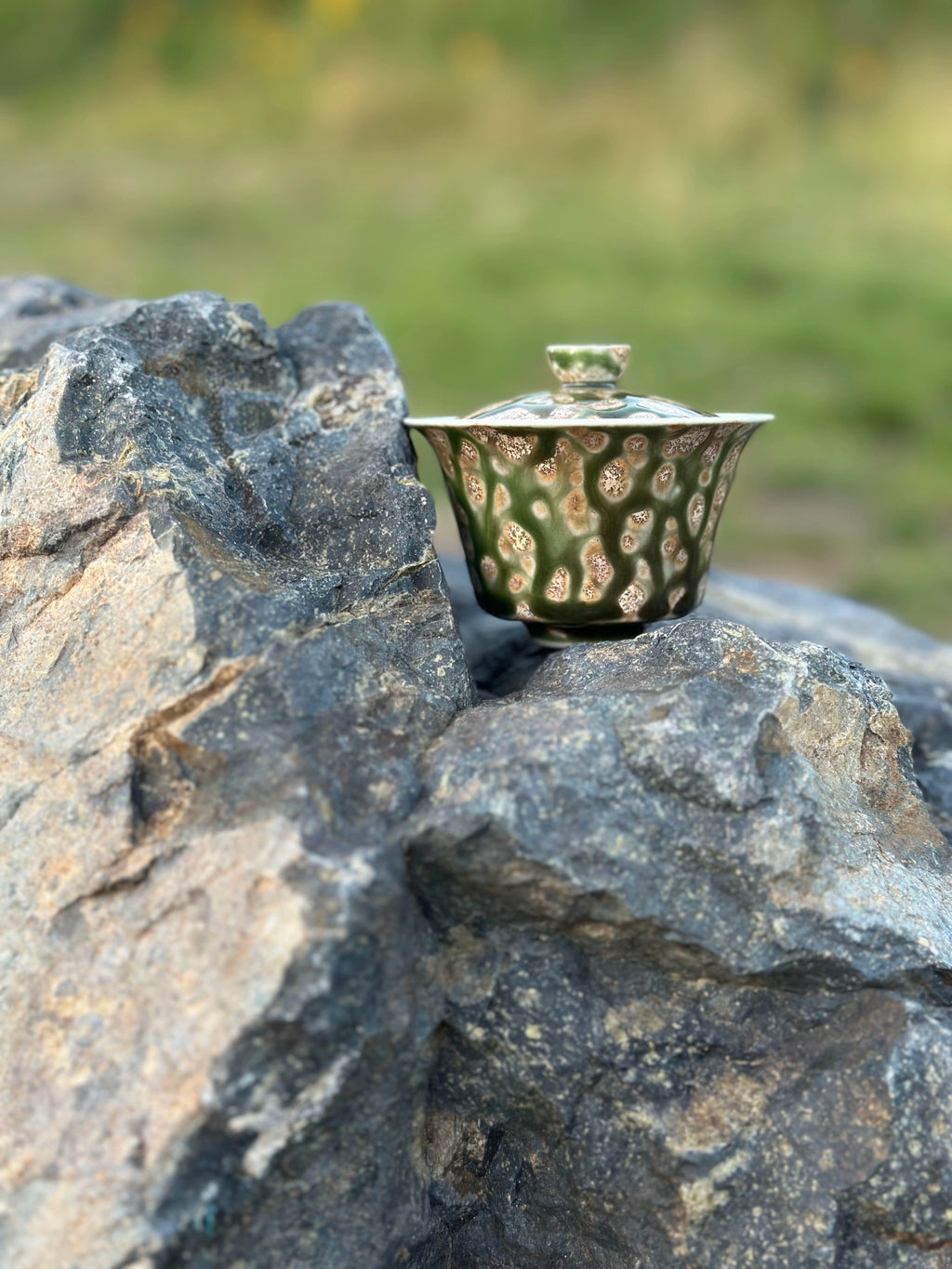 Energy Gaiwan - Forest Echo