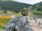 Energy Gaiwan - Forest Echo