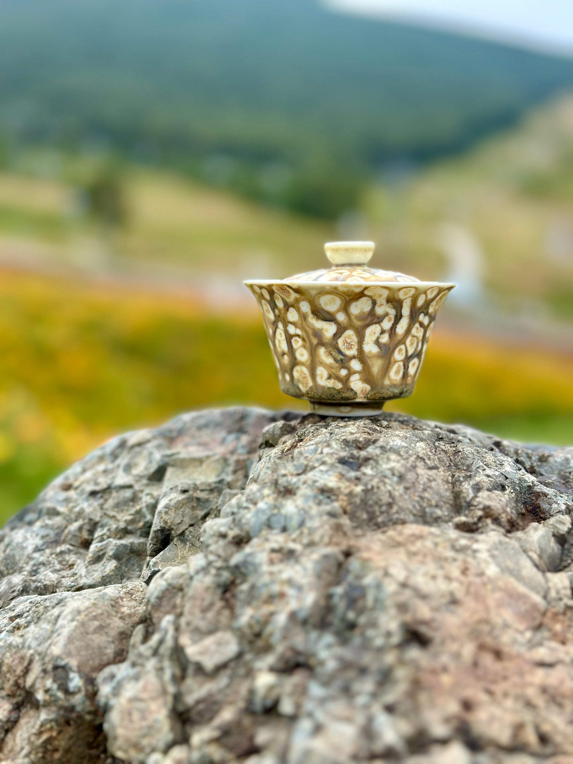 Energy Gaiwan - Quicksand