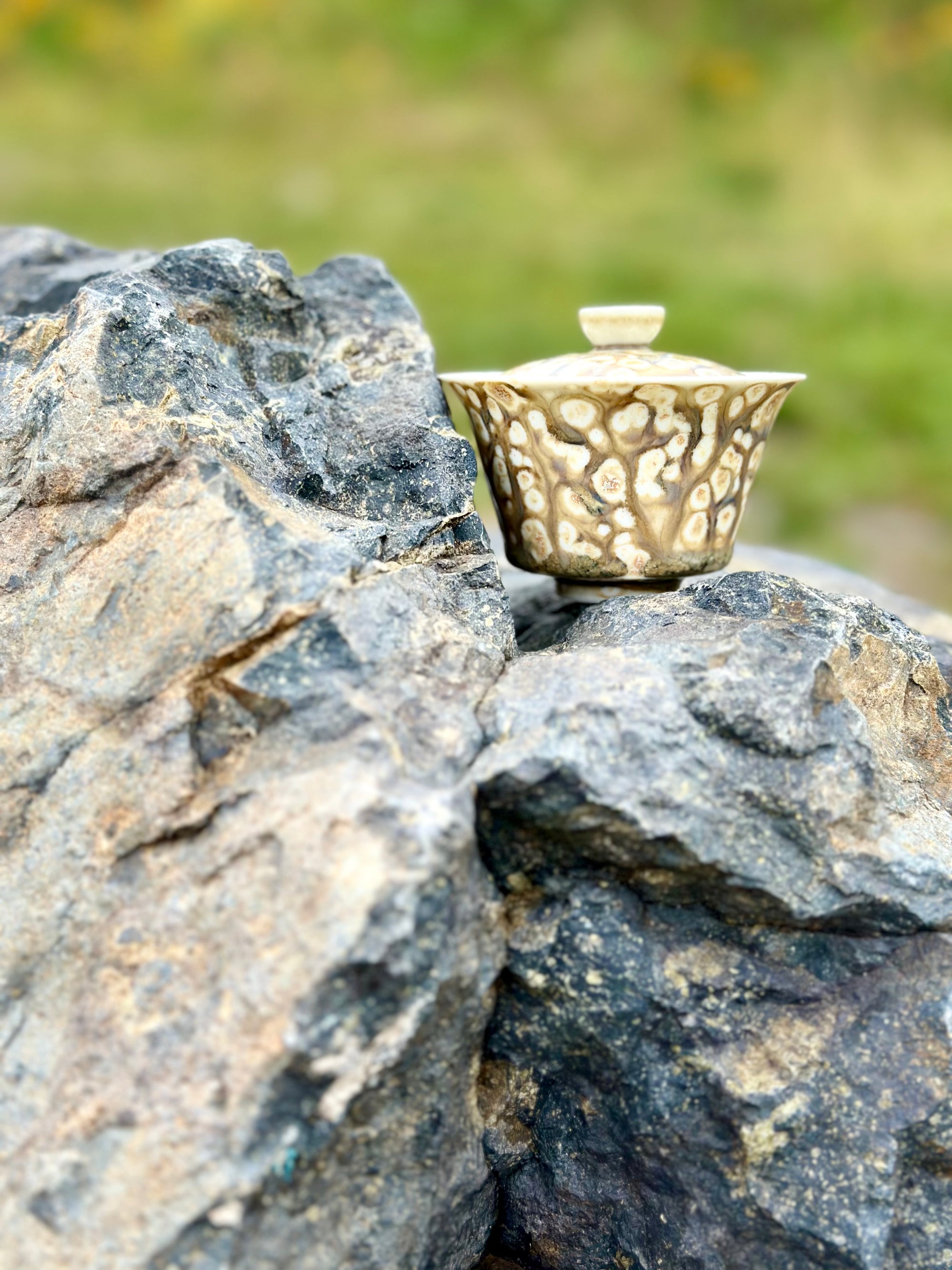 Energy Gaiwan - Quicksand