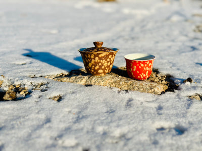 Earthstone Drift Elemental High-Density Porcelain Gaiwan (100ml)