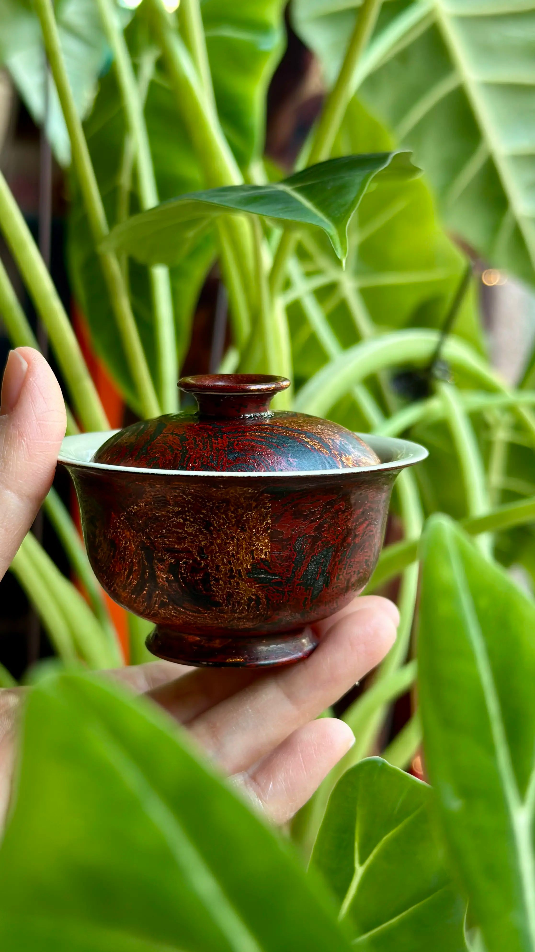 Hand holding the 45ml Crimson Eclipse gaiwan against a green indoor plant background.