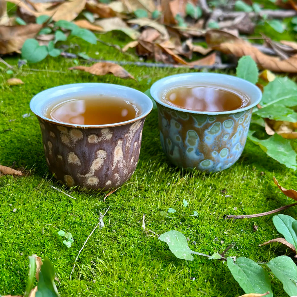 Two patterned cups filled with a tea on a green moss background