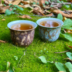Two patterned cups filled with a tea on a green moss background