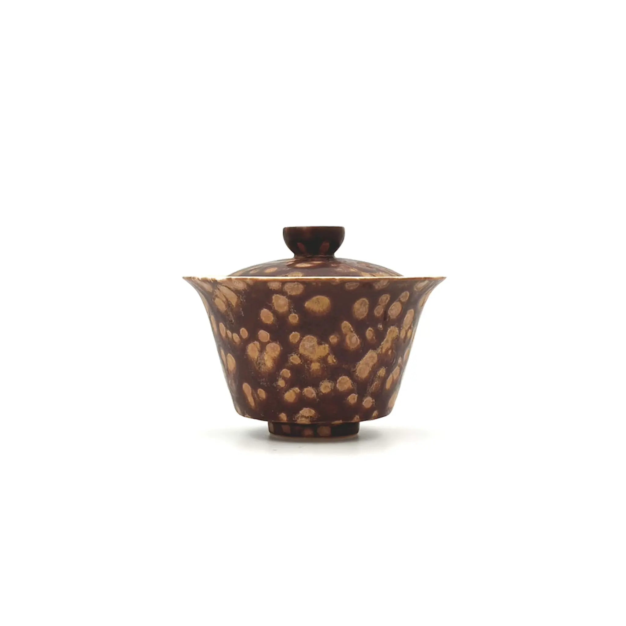 Earthstone Drift Elemental Porcelain Gaiwan 100ml