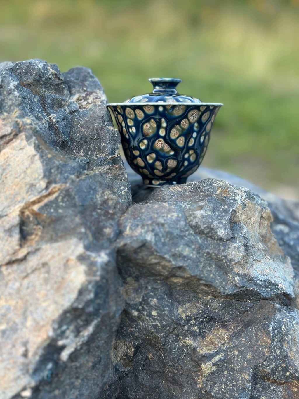 Glazara Ocean Whisper Elemental Gaiwan resting on a textured natural rock. The smooth, aquatic-blue porcelain contrasts with the rough gray stone surface in an outdoor setting.