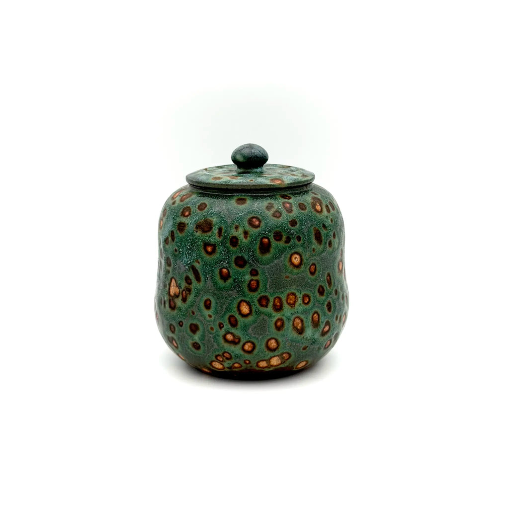 Palm Treasure Tea Canister · Aurora Shore