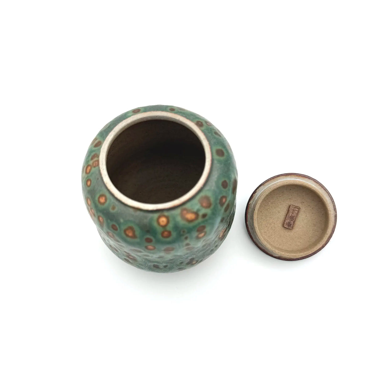 Palm Treasure Tea Canister · Aurora Shore