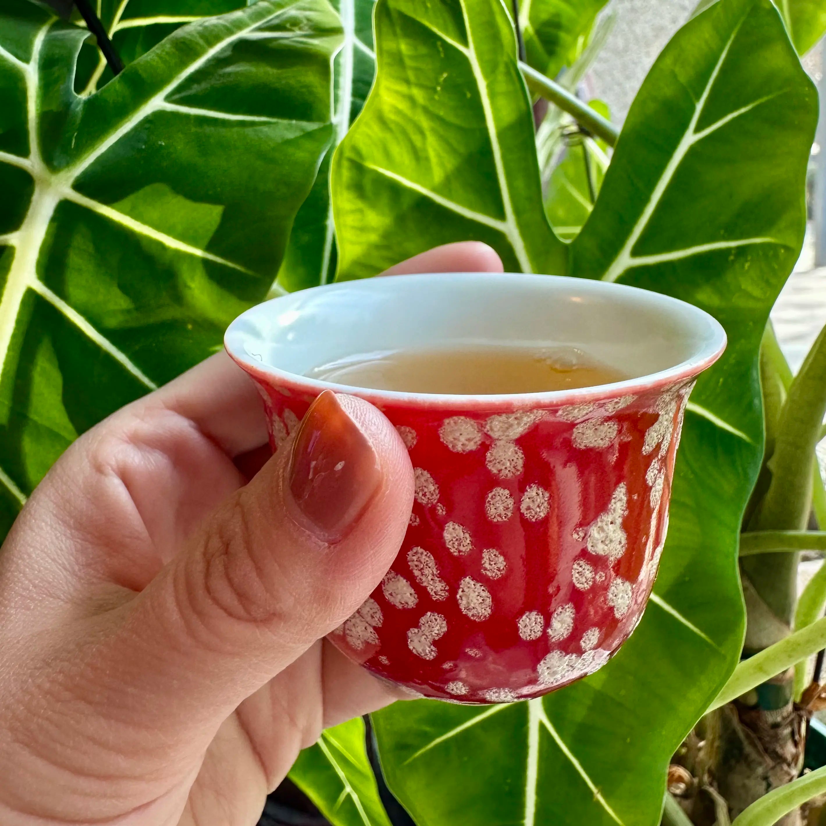 Close-up of the 70ml Phoenix Spark Elemental master teacup held gently in hand, filled with steeped tea, showcasing the cup's comfortable proportions and striking artisan glaze in a real-world tasting setting.