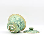Sage Dust Elemental Porcelain Gaiwan 100ml