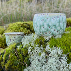 A quiet moment matcha and tea time on moss in forest
