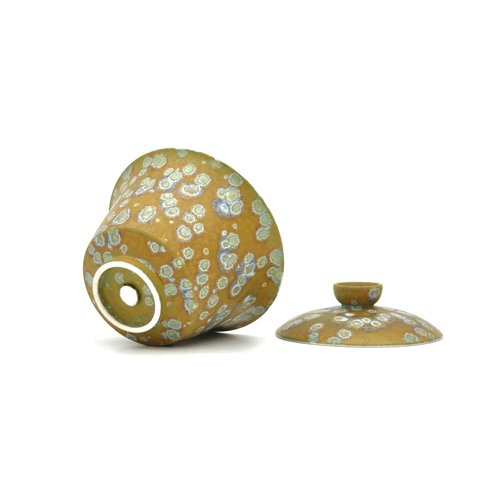 Sage Vault Elemental Porcelain Gaiwan 100ml