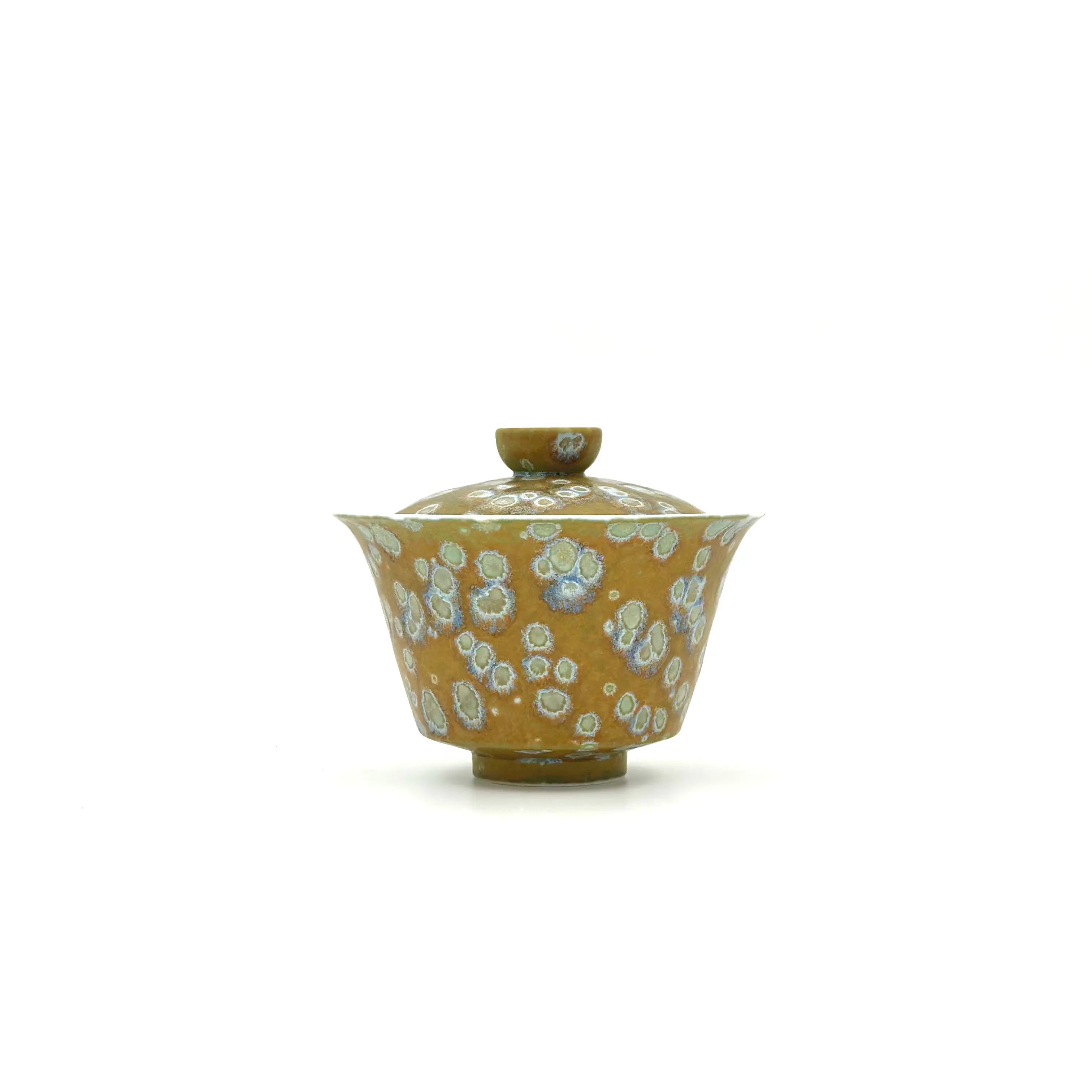 Sage Vault Elemental Porcelain Gaiwan 100ml