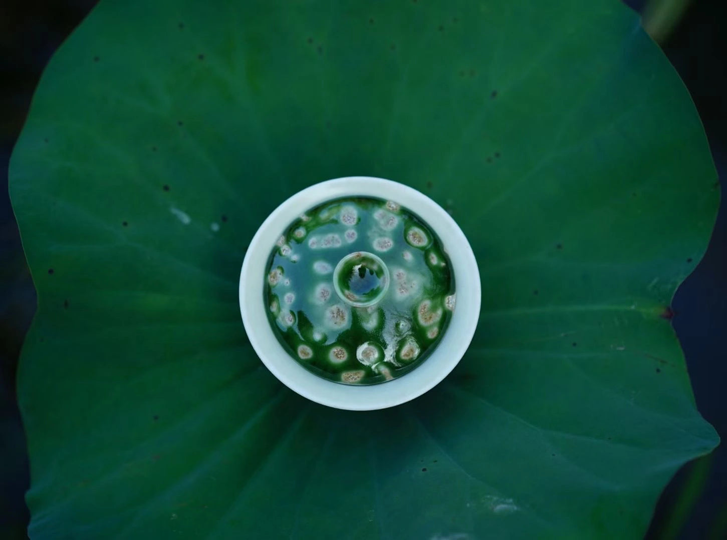 Overhead view of the Glazara Spring Willow Elemental Gaiwan beautifully styled on a natural lotus leaf setting, emphasizing the teaware's botanical, spring-inspired aesthetic.